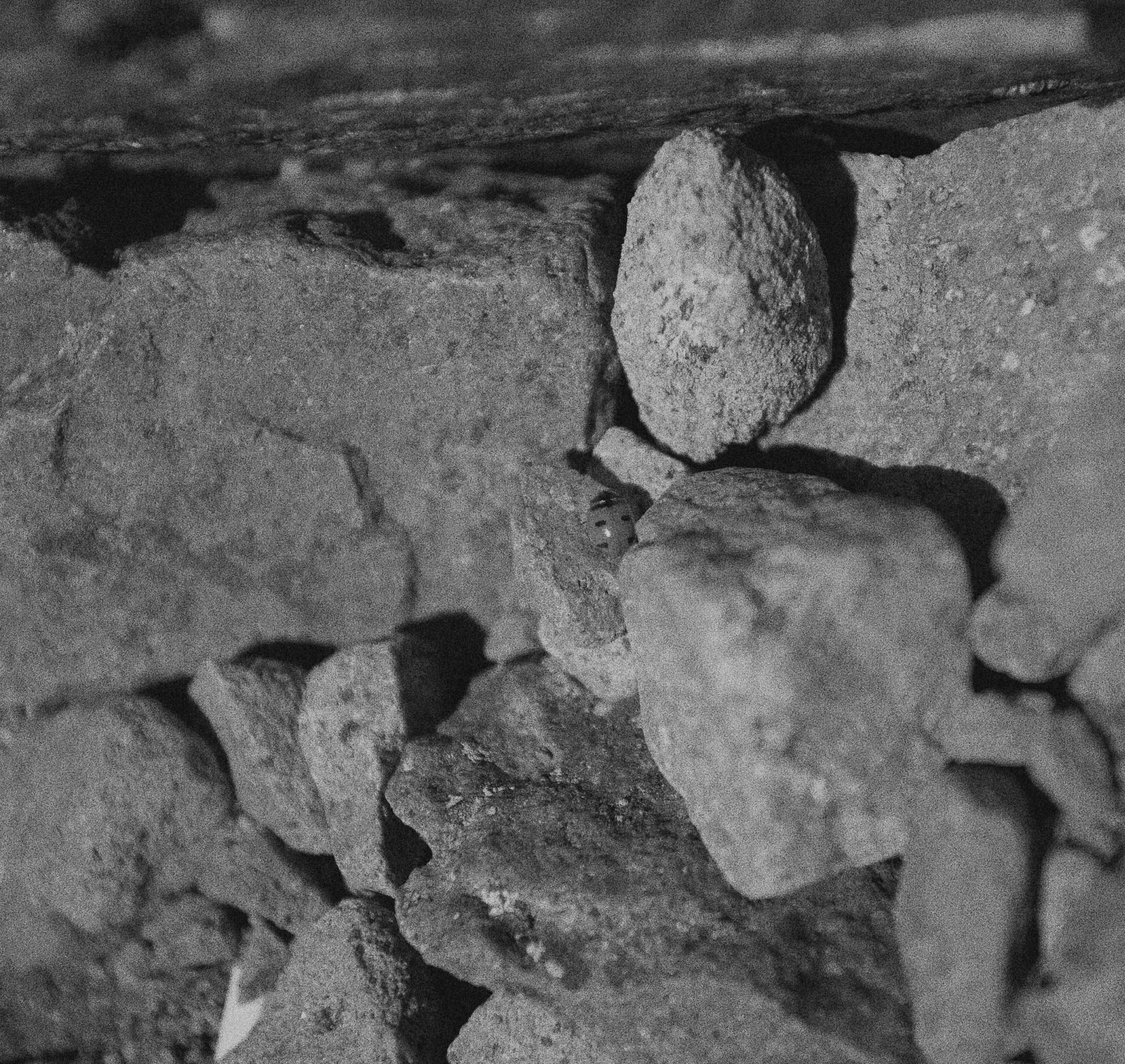 pstmrtm-001: standing up pstmrtm